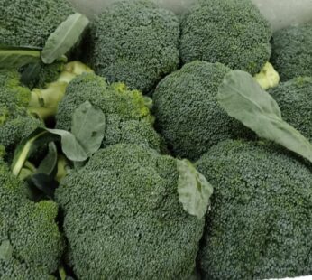 BROCOLI IMPORT (kg)