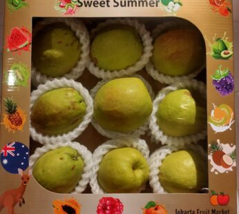 PEAR XIANGLIE JUMBO GIFTBOX dis 15%